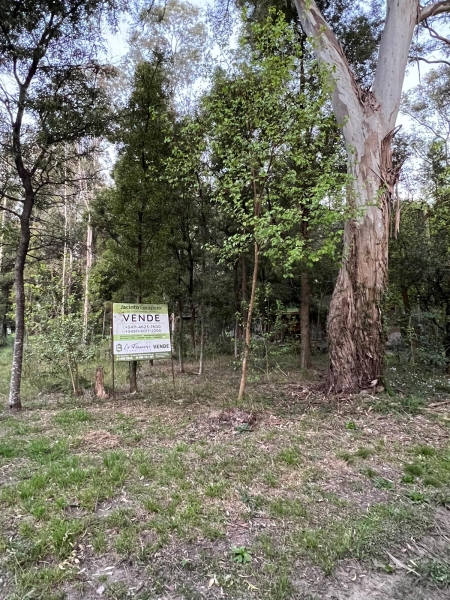 Foto del inmueble publicado